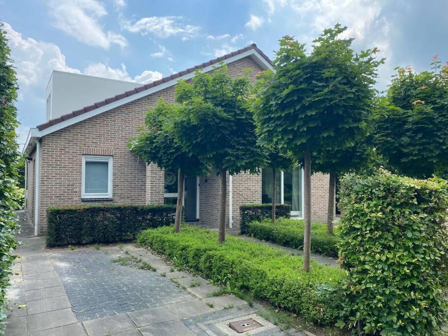 Big Family Villa 12P Big Garden With Bathtub And Jacuzzi 제이볼데 외부 사진